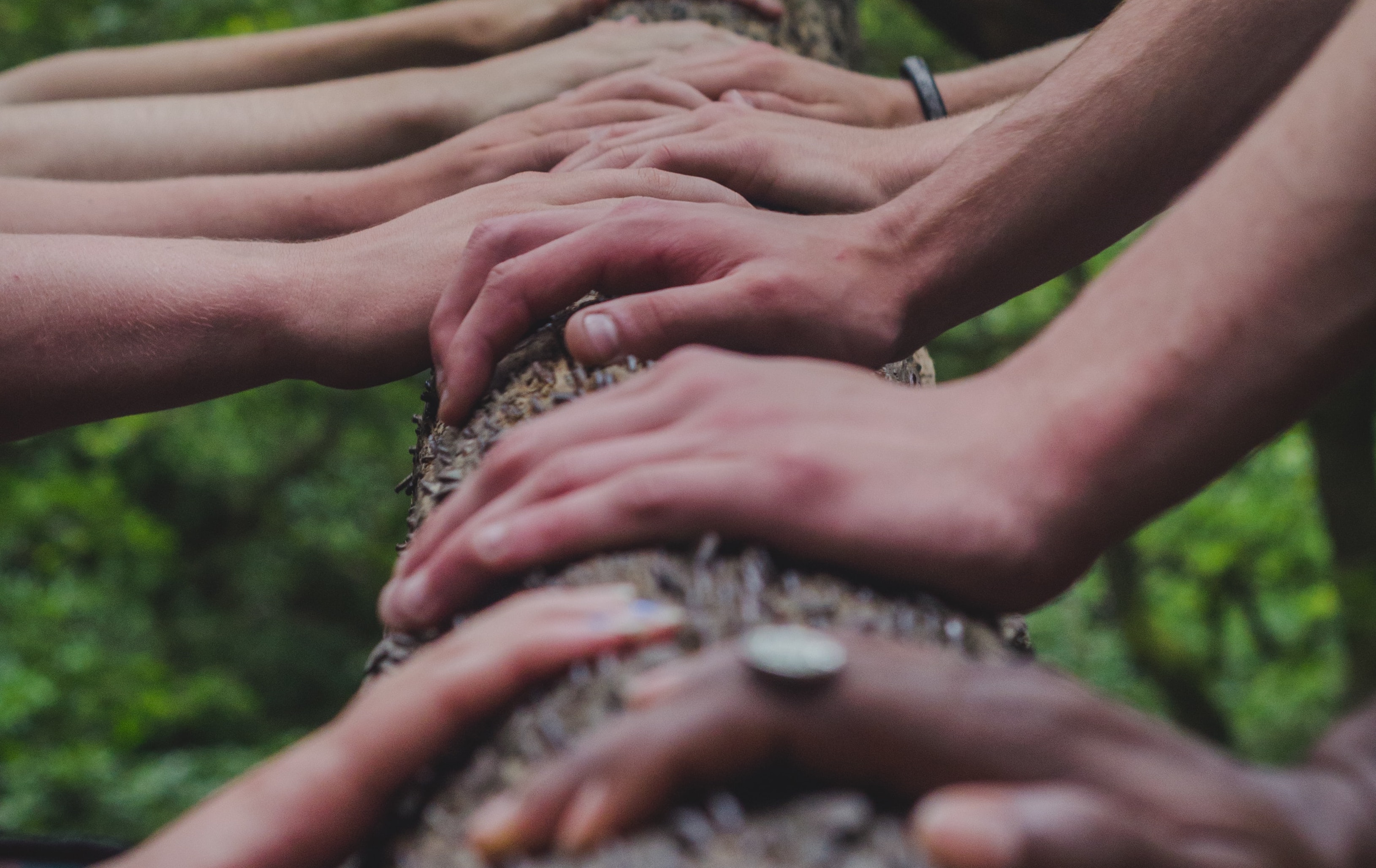 picture of hands on a downed tree - climate change cooperation